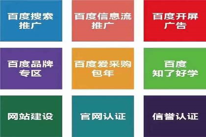 SEM广告投放的竞价策略与效果评估案例